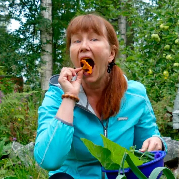 Johanna Havas